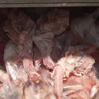 اسکلت گردن