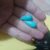 جفت فیروزه