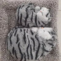 عروسک گربه و اسموشی نو