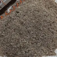 خاک اره چوب گردو|عمدهفروشی|کازرون, |دیوار