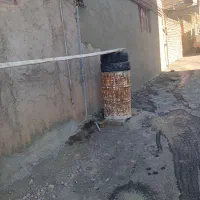 انجام کارهایه ساختمانی صفرتاصدکلیدتحویل خورده کاری|خدمات پیشه و مهارت|میانه, |دیوار