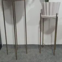 پایه گل|گل و گیاه طبیعی|بهارستان, |دیوار