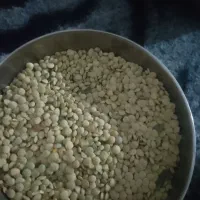 نخودسیاه عدس