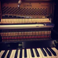 کوک و رگلاژ و کارشناسی تخصصی پیانو|پیانو، کیبورد، آکاردئون|تهران, نیاوران|دیوار