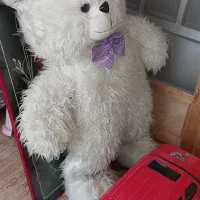 یک عدد عروسک خرس و ماشین BMW