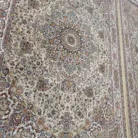 فرش 700شانه نو نو|فرش|پیرانشهر, |دیوار