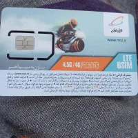 خط دایمی ازسری اولیا