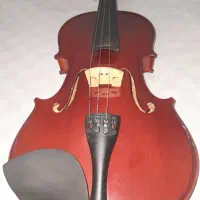 ویولن|ویولن|آمل, |دیوار