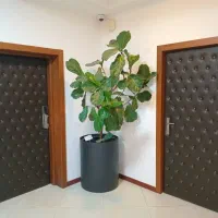 آکوستیک درب لمسه کوبی ضد آب سازی تضمینی|خدمات پیشه و مهارت|تهران, ایرانشهر|دیوار