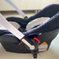 کالسکه روما دلیجان|کالسکه و لوازم جانبی|قدس, شهر‌قدس|دیوار