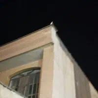 گمشده عروس هلندی