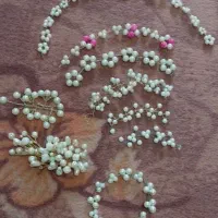 ریسه های شیک