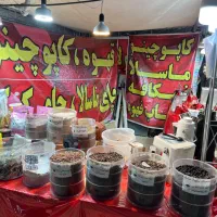 فروشنده نمایشگاه پاییزه