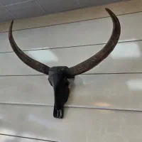 مجسمه گوزن شاخدار بزرگ دیوار کوب گوزن