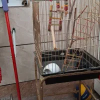 قفس پرنده ، بزرگ