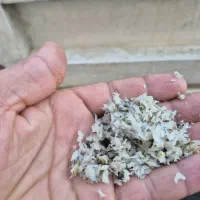 تفاله چغندر|لوازم جانبی حیوانات|اصفهان, سرشبادران|دیوار