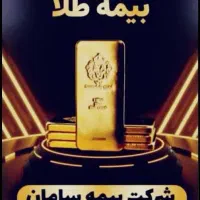 نماینده رسمی بیمه سامان فولادچنگ کد 415918|خدمات مالی، حسابداری، بیمه|بندر گناوه, |دیوار