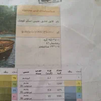 نخ و نقشه تابلو فرش|تابلو فرش|همدان, |دیوار