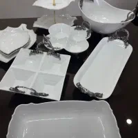 ظروف  پذیرایی