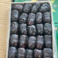 خرما و رطب