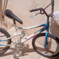 دو عدد دوچرخه