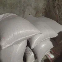 فروش گندم دهدشت درجه یک