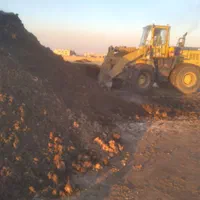 کودگاوی کوسفندی مرغی