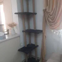 اسکرچر و درخت گربه