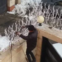 حفاظ شاخ گوزنی اکرمی|خدمات پیشه و مهارت|احمدآبادمستوفی, |دیوار