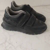 کفش مجلسی و کتونی