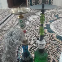قلیون|کلکسیون و سرگرمی|قزوین, |دیوار