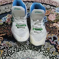 کتونی والیبال