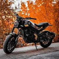 بنلی لئونچینو ۲۵۰