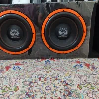 سیستم همایشی