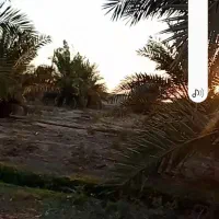 آبادان|حراج|خرمشهر, |دیوار