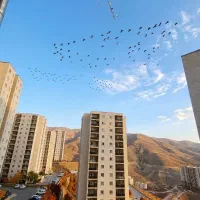 زون۳/ خریدار نقد تماس بگیره