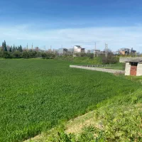 زمین برای سرمایه گذاری بهشر. خلیل شهر|فروش زمین و ملک کلنگی|خلیل شهر, |دیوار