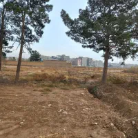 زمین باغچه|فروش زمین و ملک کلنگی|اسلام‌شهر, شهرک طالقانی|دیوار