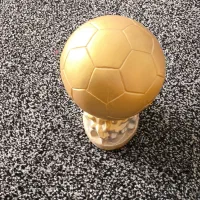 توپ طلا جام جهانی وکفش طلا|کلکسیون و سرگرمی|بهبهان, |دیوار