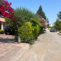 خونه باغ قدیمی420متری در شهرک دلباز و دلربا|فروش خانه و ویلا|نور, |دیوار