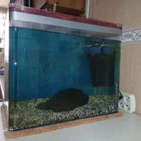 آکواریم با لوازم...
