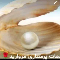 دفتر خدمات نظافتی مروارید