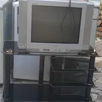 تلویزیون