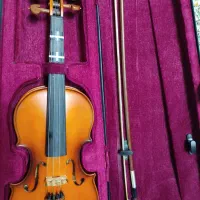 ویالون / ویولن|ویولن|ساری, |دیوار