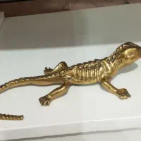 برنج مارولک وقو