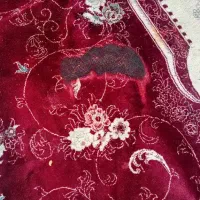 فرش ۱۲ متری|فرش|فسا, |دیوار