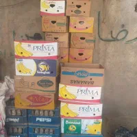 کارتون موزی|عمدهفروشی|نیشابور, فضل|دیوار