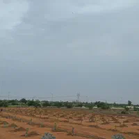 فروش زمین نخلستان  ۱۰۰۰متری