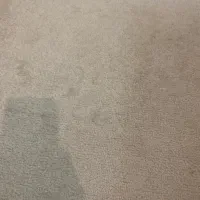 موکت نباتی. پرزبلند۳‌ر۳۶۰