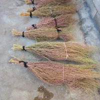 20دسته جارو دسته بزرگ روستایی کتوله ساری|لوازم نظافت|کوهدشت, |دیوار